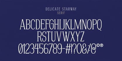 Delicate Starway Font Poster 6