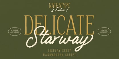 Delicate Starway Font Poster 1