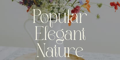 Agifted Font Poster 3
