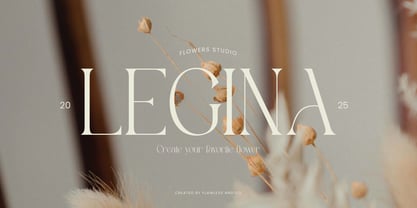Agifted Font Poster 2
