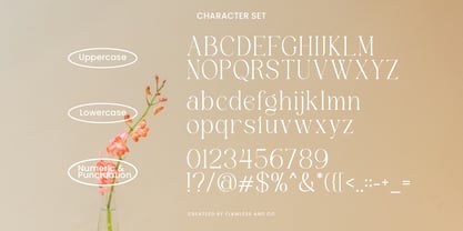 Agifted Font Poster 9