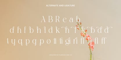Agifted Font Poster 10