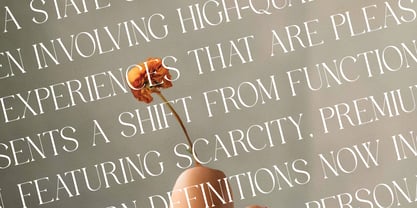 Agifted Font Poster 6