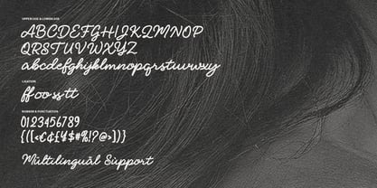 MC Mudelhos Font Poster 6