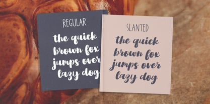 PG Calisora Font Poster 2