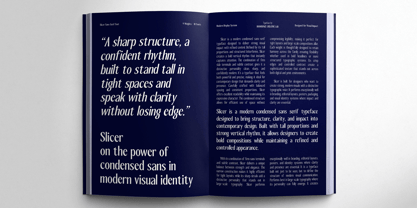 RCL Slicer Font Poster 4