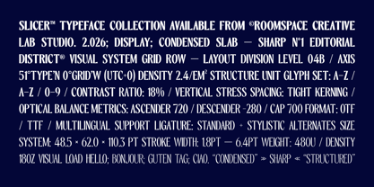 RCL Slicer Font Poster 11