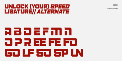 234 Sec Font Poster 6