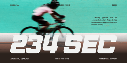 234 Sec Font Poster 1