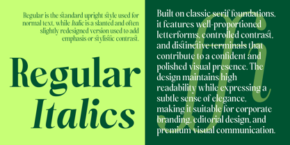 Magerist Font Poster 4