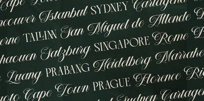 The Heistha Editorial Font Duo Font Poster 3