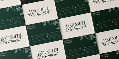 The Heistha Editorial Font Duo Font Poster 12