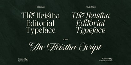 The Heistha Editorial Font Duo Font Poster 2