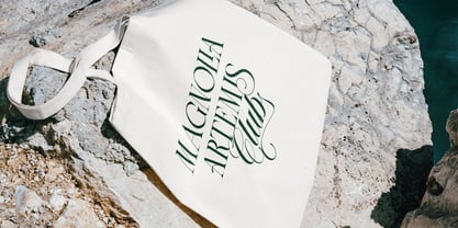 The Heistha Editorial Font Duo Font Poster 14