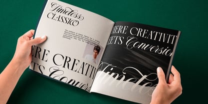 The Heistha Editorial Font Duo Font Poster 13