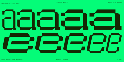 HN Rowka Mono Font Poster 2