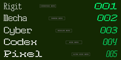 HN Rowka Mono Font Poster 3