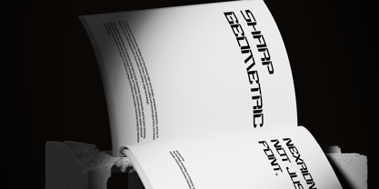 FT Nexrion Font Poster 4