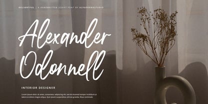 Delightfully Font Poster 2