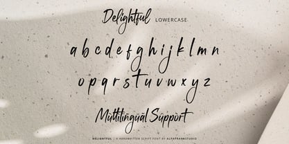 Delightfully Font Poster 9