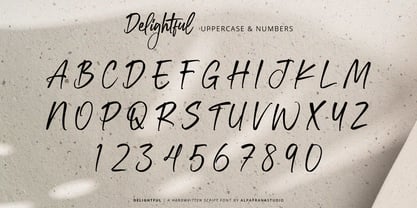 Delightfully Font Poster 8
