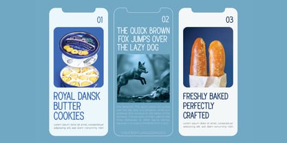 Revionis Font Poster 5