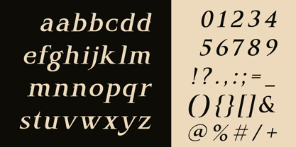 Hecta Ahera Font Poster 11