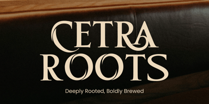 Hecta Ahera Font Poster 3