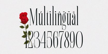 Alqeon Font Poster 9