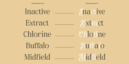 Naivelist Font Poster 8
