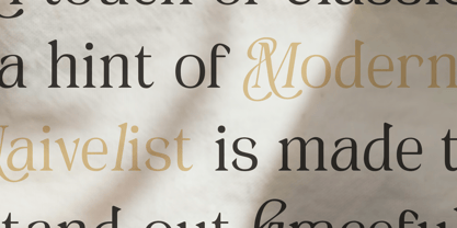 Naivelist Font Poster 2