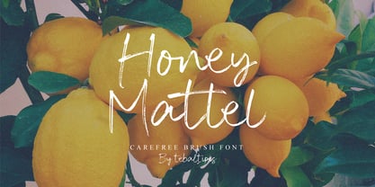 Honey Mattel Brush Font Poster 1