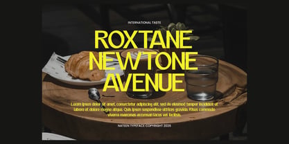 Nateen Display Font Poster 10