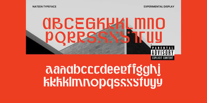 Nateen Display Font Poster 4