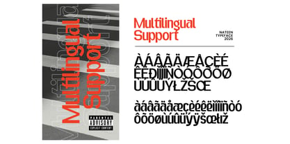 Nateen Display Font Poster 9