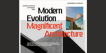 Nateen Display Font Poster 5