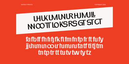 Nateen Display Font Poster 3