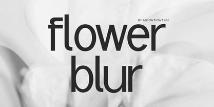 Rangled Font Poster 6