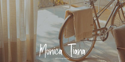 Hanseply Brush Font Poster 2