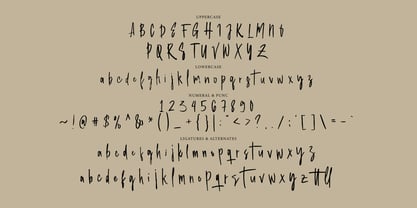 Hanseply Brush Font Poster 5