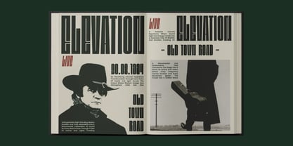 Bunke Font Poster 4