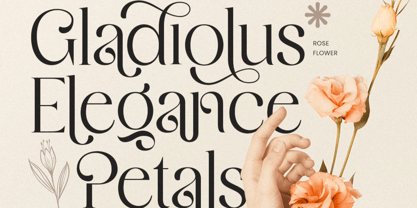 Rivella Font Poster 11
