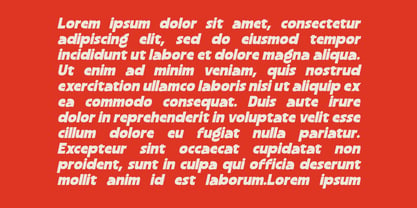 Blonkra Font Poster 3