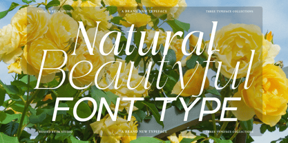 Gentano Athiroen Font Poster 3