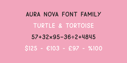 Snova Nova Font Poster 10
