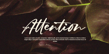 Rifton Staycation Font Poster 11