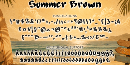 Summer Brown Font Poster 5