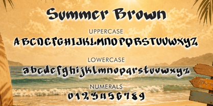 Summer Brown Font Poster 4