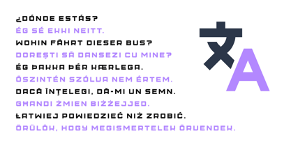 Caviara Font Poster 13