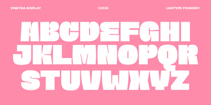 Vinetra Font Poster 6